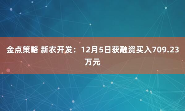 金点策略 新农开发：12月5日获融资买入709.23万元